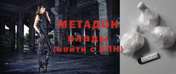 прущие грибы Алзамай