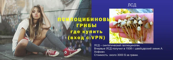 СК Арсеньев