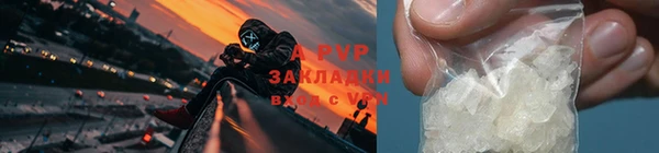 СК Арсеньев