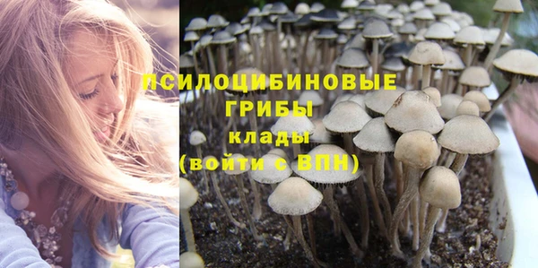 прущие крисы Алексин