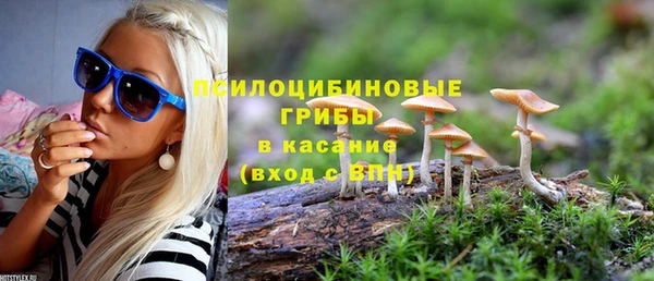 круглые Алексеевка