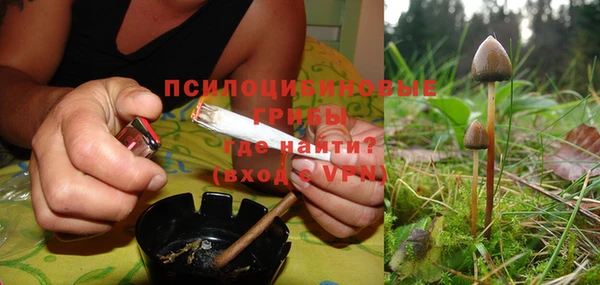 прущие крисы Алексин