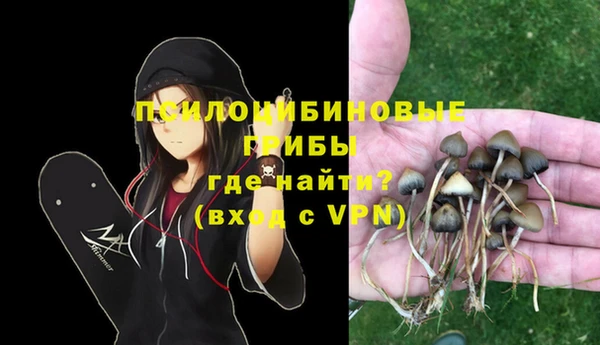 СК Арсеньев