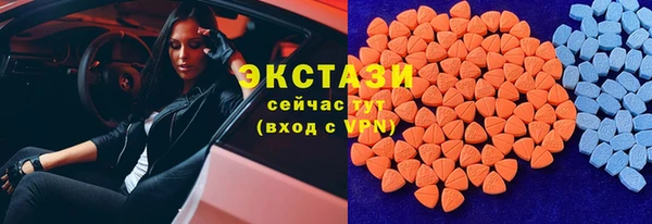 прущие грибы Алзамай